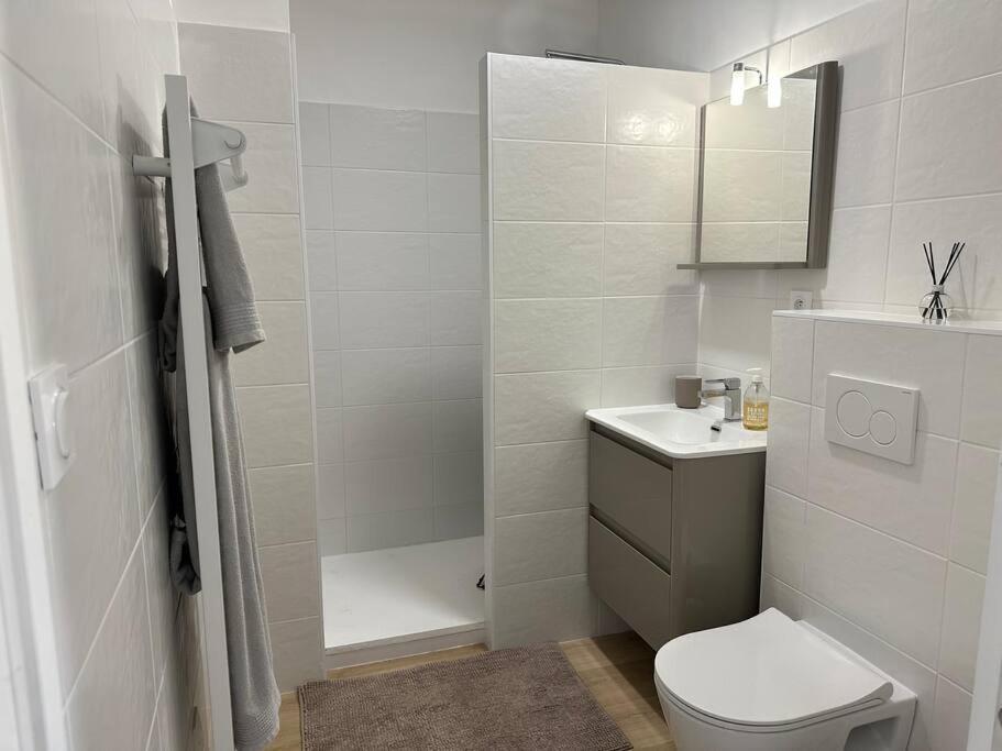 Tres Bel Appartement Neuf - Parking Et Terrasse بيسكاروس المظهر الخارجي الصورة